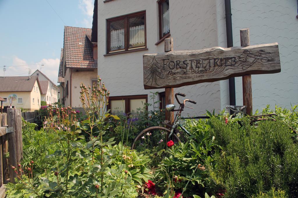 Haus Am Bergli Herbolzheim Quarto foto