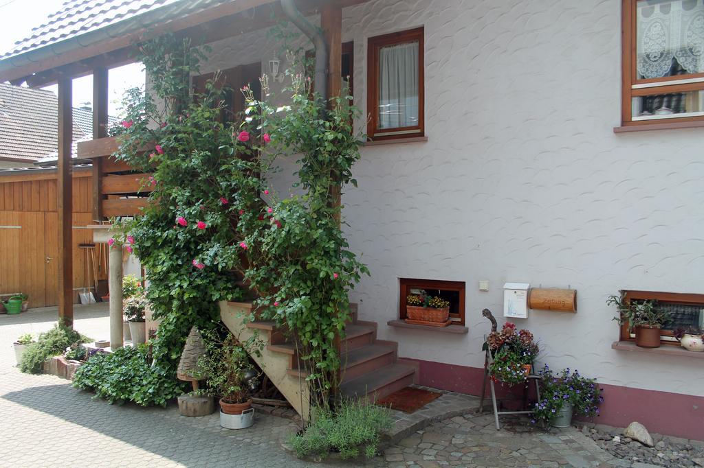 Haus Am Bergli Herbolzheim Quarto foto