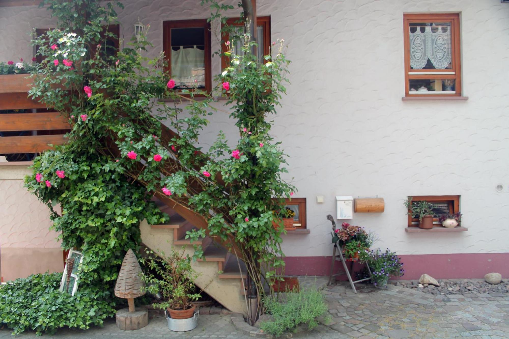 Haus Am Bergli Herbolzheim Exterior foto